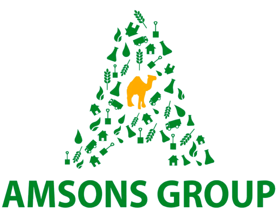 Amsons Group