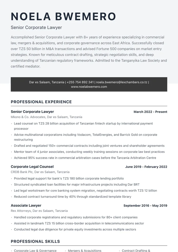 Tembo CV design