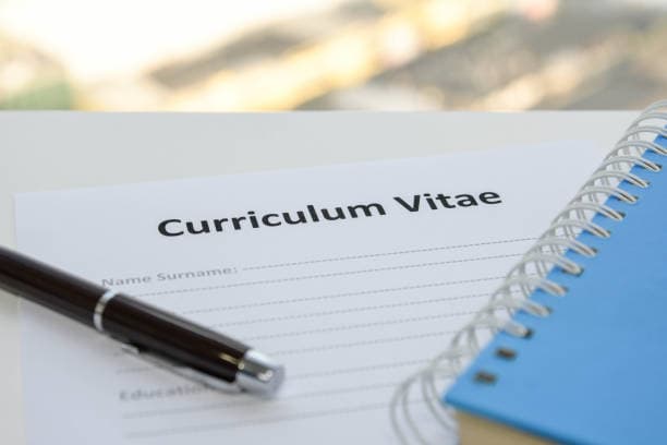 Professional CV template example for Tanzania job market